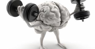 Billede af hjerne med vægte
